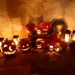 Das Bild zeigt Kürbisse aus der Kürbislichterführung auf Schloss Harburg
