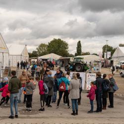 Donauries-Ausstellung 2019