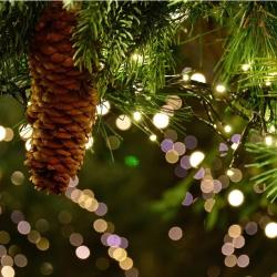 Das Bild zeigt eine Weihnachtsgirlande