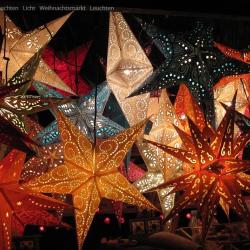 Das Bild zeigt Weihnachtssterne
