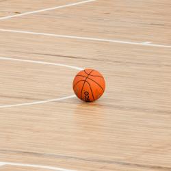 Auf diesem Bild ist ein Basketball zu sehen.