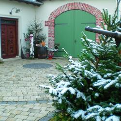 Ein schneebedeckter Nadelbaum in einem Hof