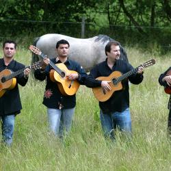 Musiker von Allstar of Gipsy