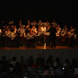 Orchester des THG