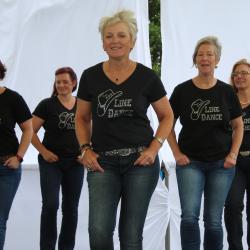 Das Bild zeigt einen Linedancekurs.