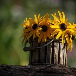 Blumentopf aus Holz
