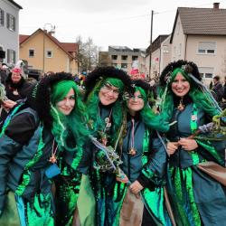 Faschingsumzug Mertingen