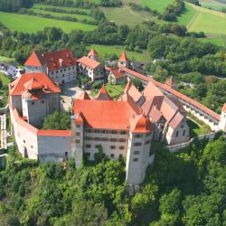 Luftbild vom Schloss Harburg