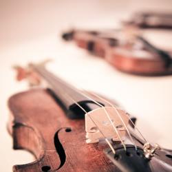 Violine