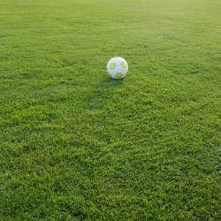 Leerer Sportplatz 