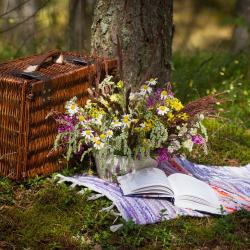 Picknick