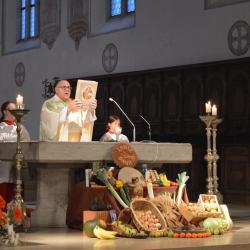 Das Bild zeigt Dekan Robert Neuner