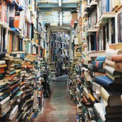Ab dem 8. März startet das digitale Literaturfestival Nordschwaben.