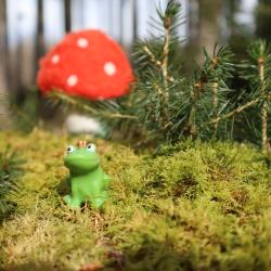 Das Bild zeigt einen Frosch. 