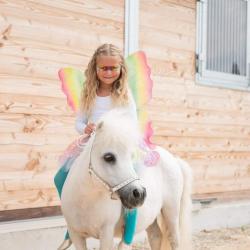 Vom 2. Juli bis 29. August finden im Reitstall Petra in Nördlingen die HAPPY-HORSE-Days statt. 