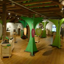Blick in einen Teil der Ausstellung. 