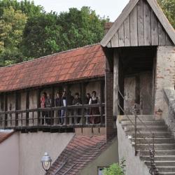 Entdeckungsreise durch Nördlingen