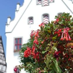 Rathaus Marktplatz Stadt Wemding