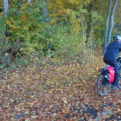 Radfahren fährt im Herbst, Blätter auf dem Weg