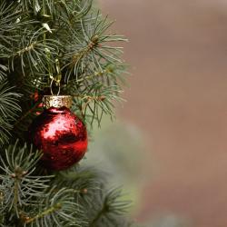 Symbolbild Weihnachtsbaum