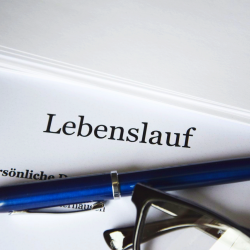 Das Bild zeigt einen Lebenslauf.