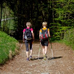 Frauen beim Nordic Walking