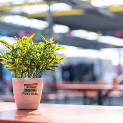Street Food Festival 
