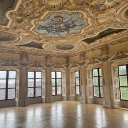 Das Bild zeigt den Festsaal des Oettinger Residenzschlosses.