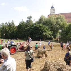 Das Bild zeigt das Schnitterfest 2019