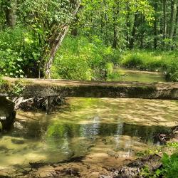 Historischer Bettelsteg im Schwalbtal