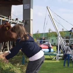Bild vom letzten Herbstfest