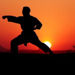 Karate-Sport