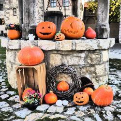 Rübengeister Kürbislichterführungen im Schloss Harburg.