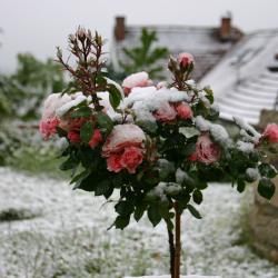 Start in den Winter.