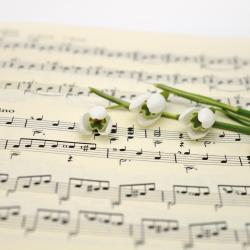 Musiknoten