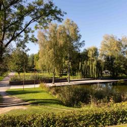 Stadtpark Rain