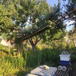 Der Garten in Möttingen ist seit 2022 als Naturgarten ausgezeichnet.