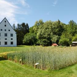 Blick in den Museumsgarten.