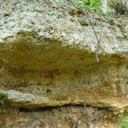 Aufschluss eines Mündungsdeltas in den Geotopen Kühstein Mönchsdeggingen.