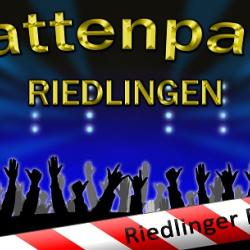 Plattenparty Riedlingen 