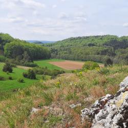Blick ins Kohlebachtal.