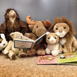 Das Bild zeigt Kuscheltiere