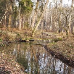 Der Bettelsteg im Schwalbtal
