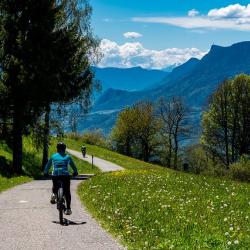 Symbolbild Fahrradfahren
