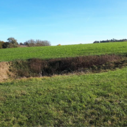 Doline bei Tagmersheim.