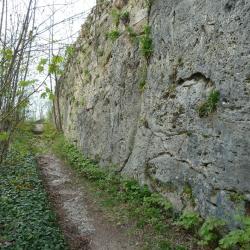 Wallersteiner Felsen