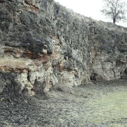 Aufschluss am Büschelberg (Hainsfarth)