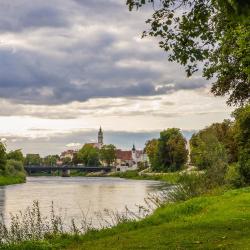 Der Donaubereich der geplanten Sohlsicherung.