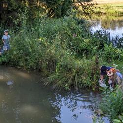 Auch dieses Jahr beteiligte sich Gertrud Bittl-Dinger am Ferienprogramm der Stadt Rain. Mit ihr gingen 18 Kinder auf Becherlupensafari und erforschten den Lebensraum Wasser: als Wasserdetektive mit Kescher und Sieben gingen die Kinder auf die Suche nach Wassertieren. 
