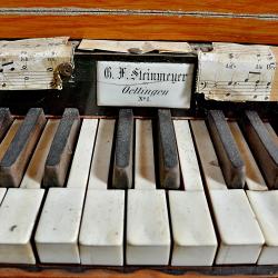 Steinmeyer-Orgel 